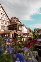 Lionel ROBERTIN - LIONELITO PICS